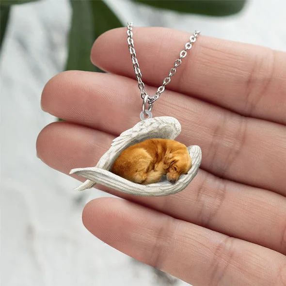 Echte Liefde | Slapende Golden retriever Ketting