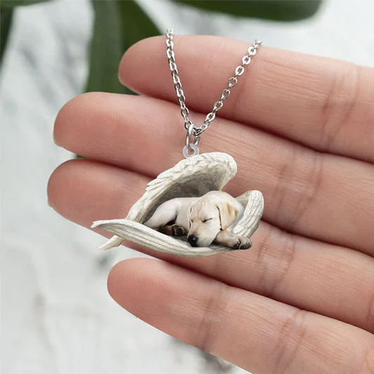 Echte Liefde | Slapende Witte Labrador retriever Ketting