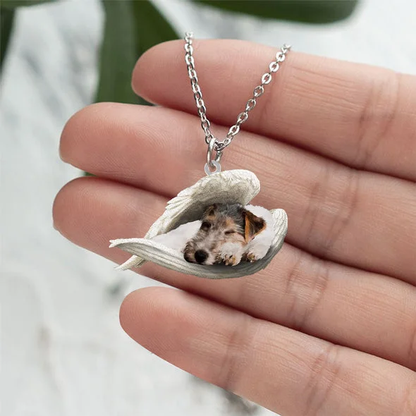 Echte Liefde | Slapende fox terrier Ketting