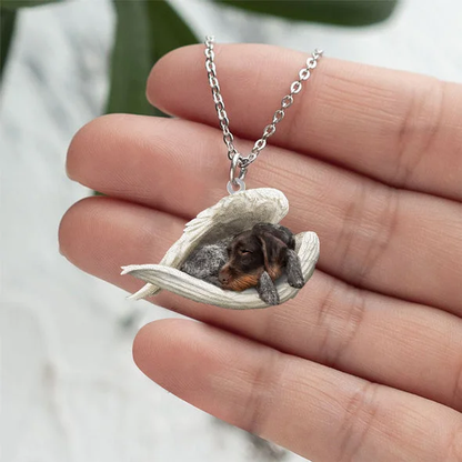 Echte Liefde | Slapende German Shorthaired Ketting