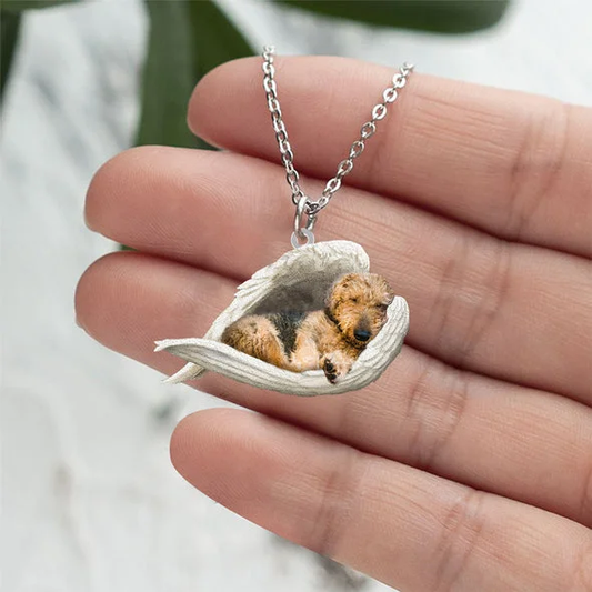 Echte Liefde | Slapende Airedale Terrier Ketting