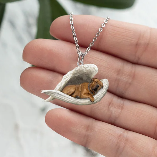 Echte Liefde | Slapende Tosa hond Ketting