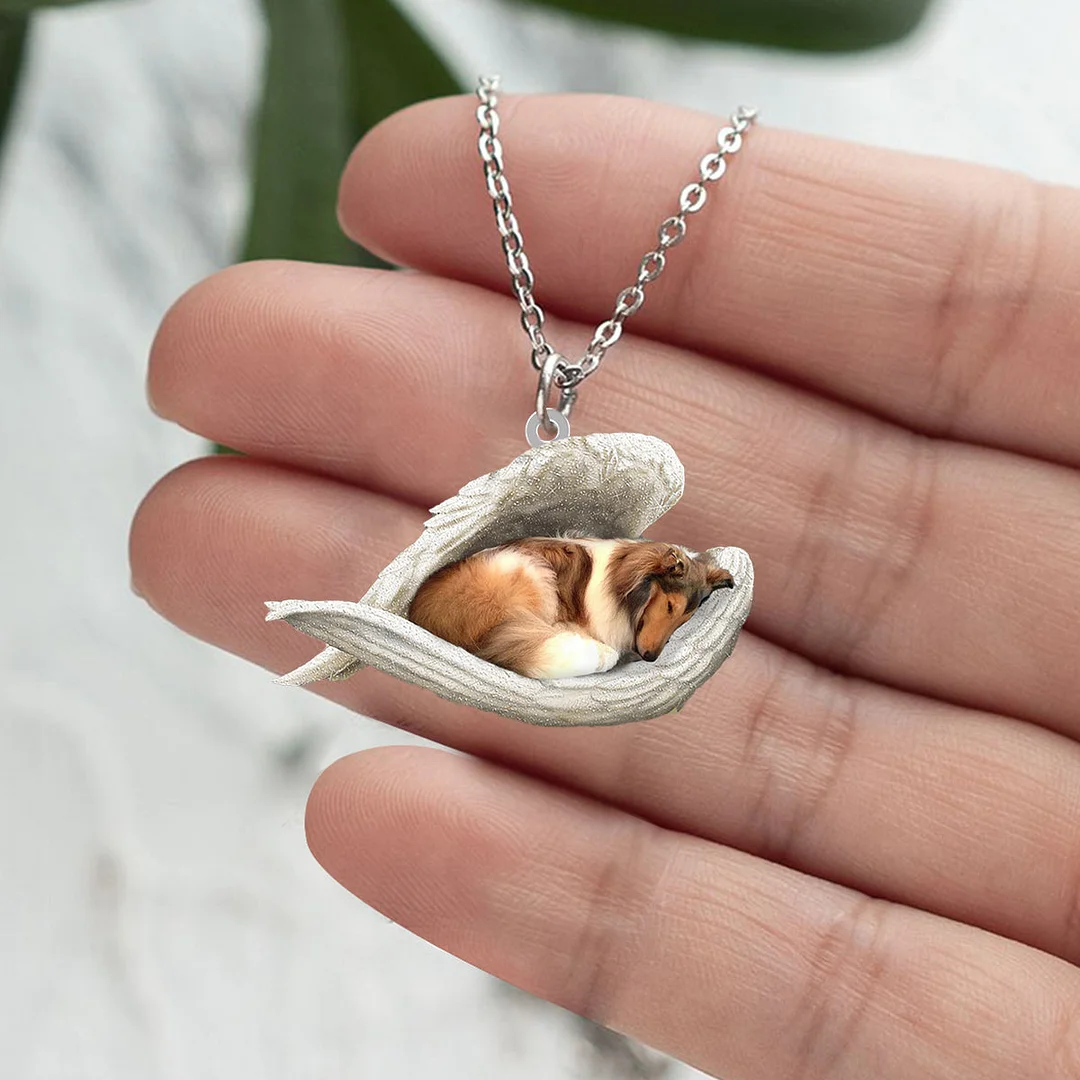 Echte Liefde | Slapende Schotse collie Ketting