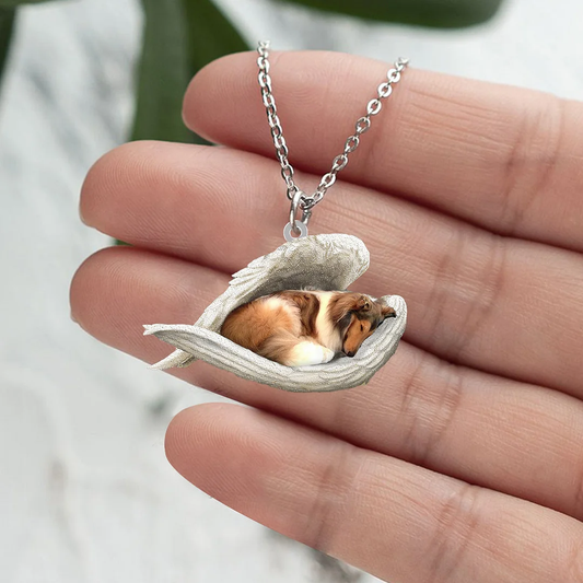 Echte Liefde | Slapende Schotse collie Ketting