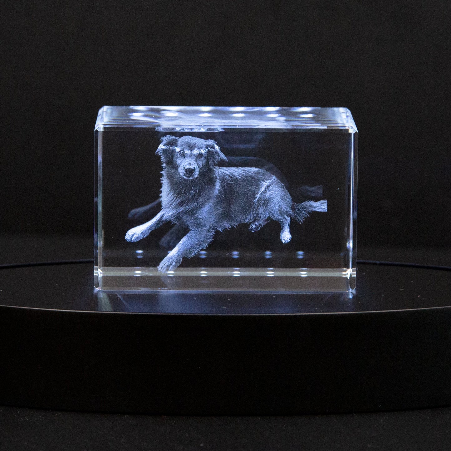 MemoryGlare | Ożyw swoje zdjęcie, przekształcając je w piękne dzieło sztuki