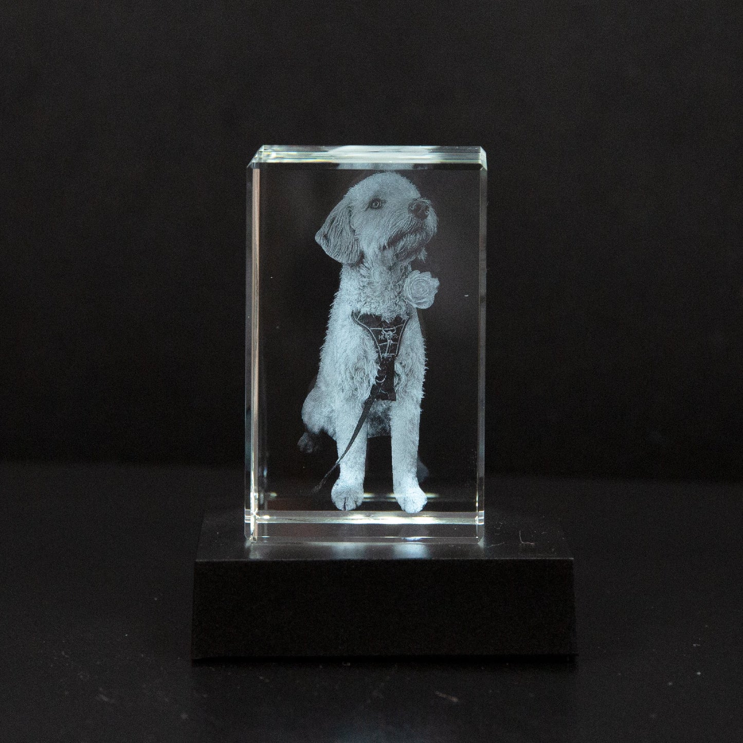 MemoryGlare | Ożyw swoje zdjęcie, przekształcając je w piękne dzieło sztuki