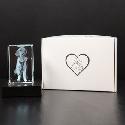 MemoryGlare | Ożyw swoje zdjęcie, przekształcając je w piękne dzieło sztuki